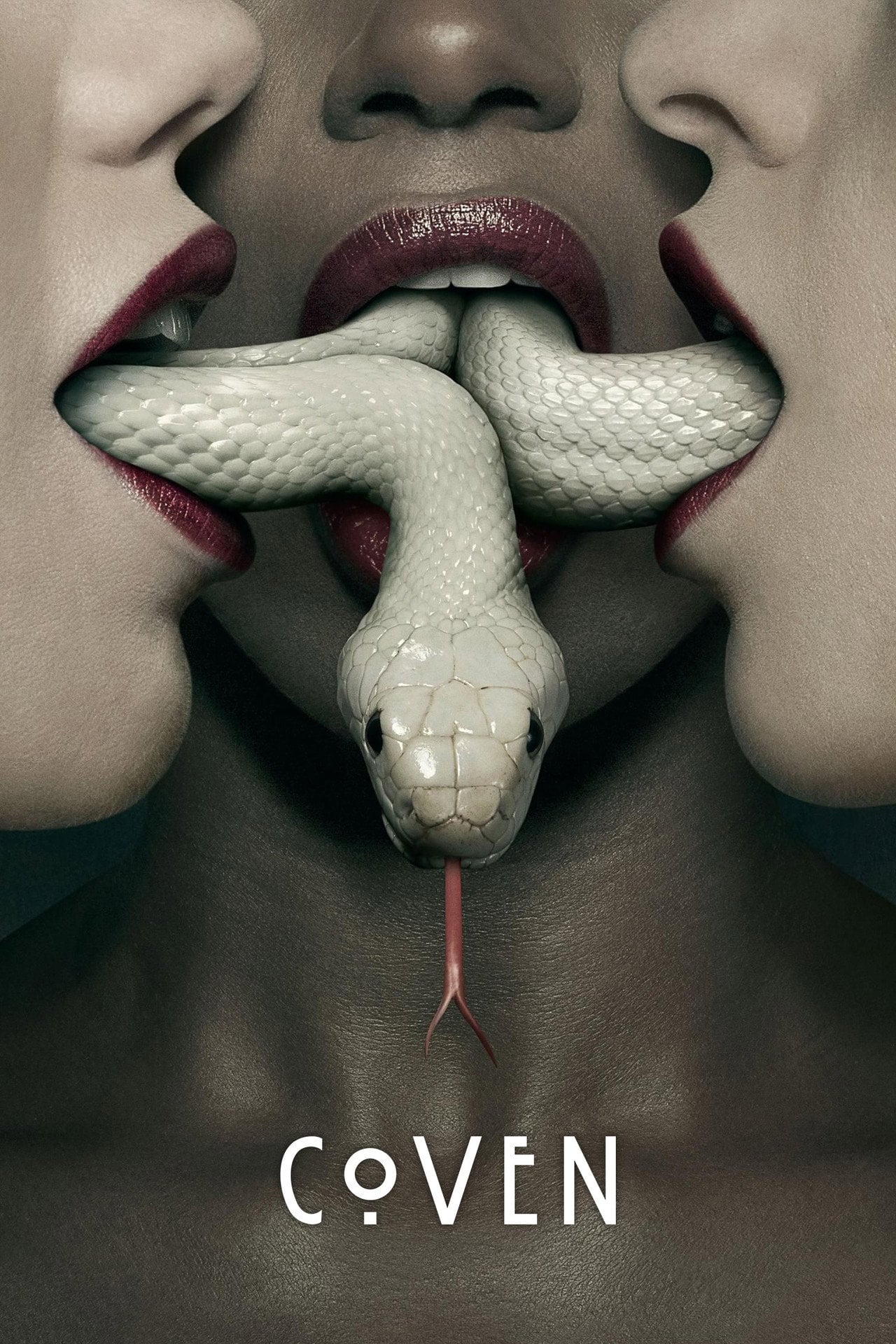American Horror Story 3 • Vider PL