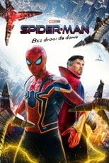 Spider-Man: Bez drogi do domu (2021) • Sprawdź źródła na Vider