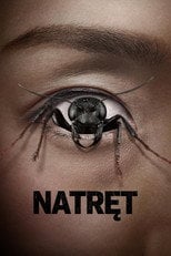Natręt (2025) • Sprawdź źródła na Vider