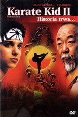 Karate Kid 2 (1986) • Sprawdź źródła na Vider