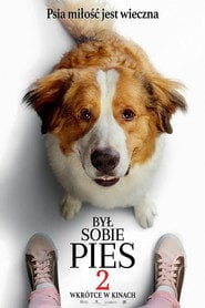 Był sobie pies 2 (2019) • Sprawdź źródła na Vider