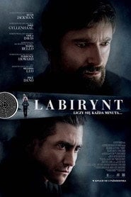Labirynt (2013) • Sprawdź źródła na Vider