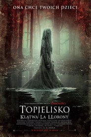 Topielisko. Klątwa La Llorony (2019) • Sprawdź źródła na Vider