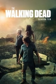 The Walking Dead 10 • Vider PL