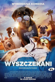 Wyszczekani (2018) • Sprawdź źródła na Vider