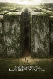 Więzień labiryntu (2014) • Sprawdź źródła na Vider