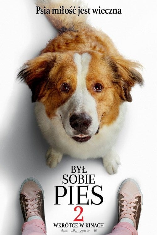 Był sobie pies 2 (2019) • Sprawdź źródła na Vider