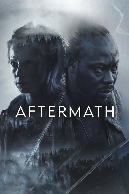 Aftermath (2024) • Sprawdź źródła na Vider