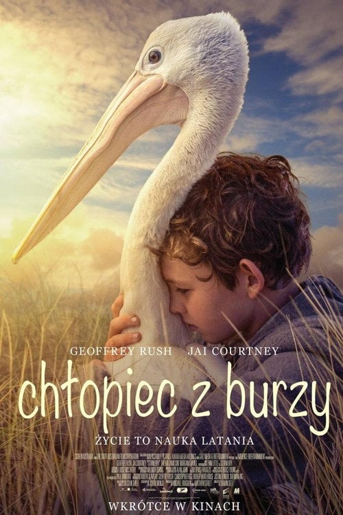 Chłopiec z burzy (2019) • Sprawdź źródła na Vider