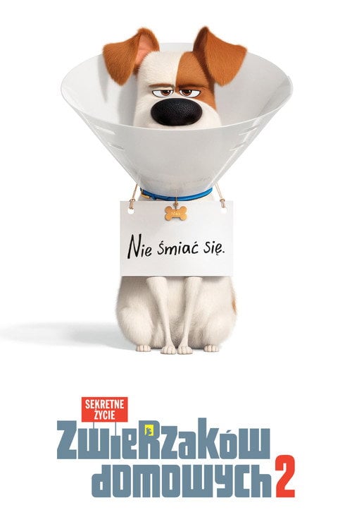 Sekretne życie zwierzaków domowych 2 (2019) • Sprawdź źródła na Vider